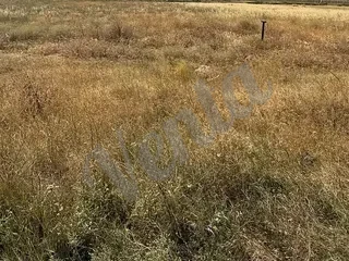 Натуральные камени для облицовки зданий, домов