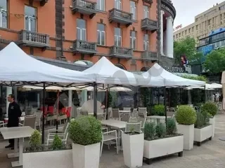 Պալատկա կապույտ օղակներով առկա է
